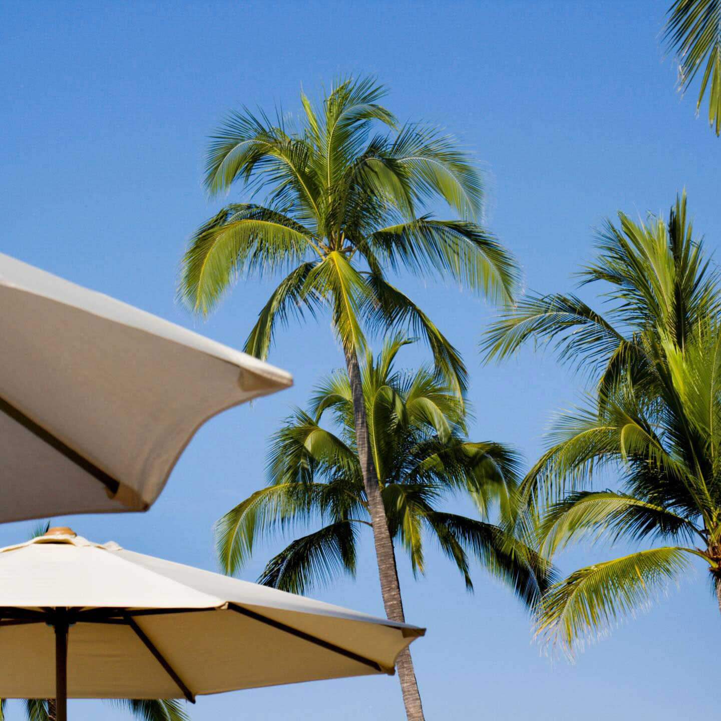 589191647 17965755510005611 7573055271806650511 N