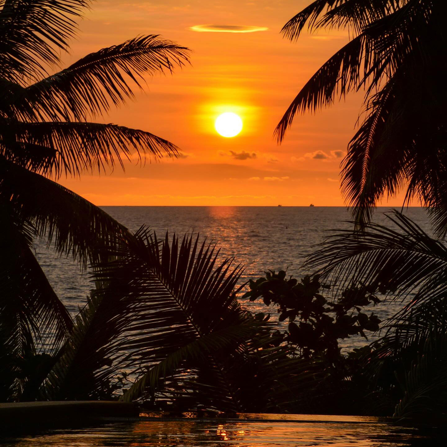 642520427 17975127924005611 546444430910832252 N